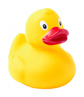 Koldy kačička