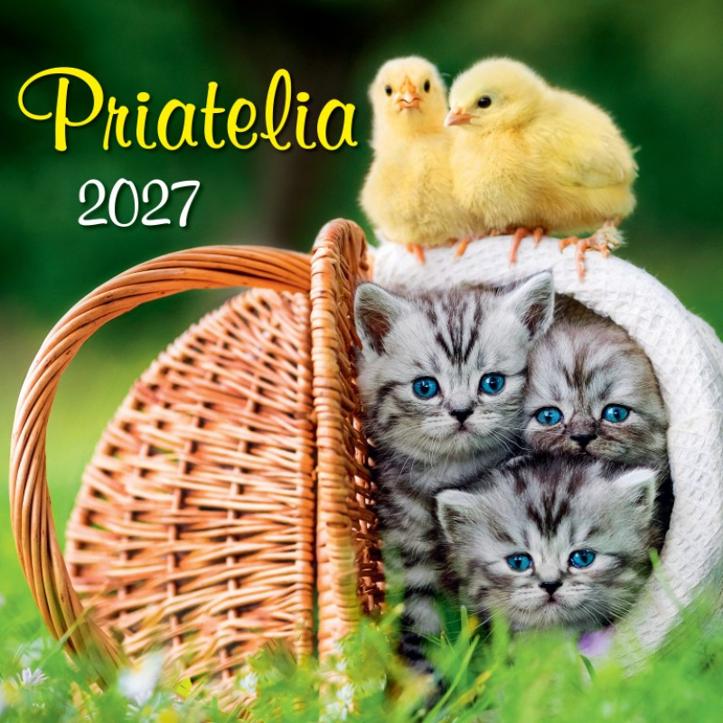 Nástenný kalendár Priatelia 2027 1
