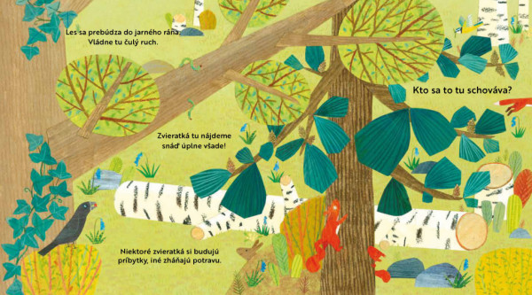 Kto sa to tu schováva? V LESE – Knižka s odklápacími okienkami 1
