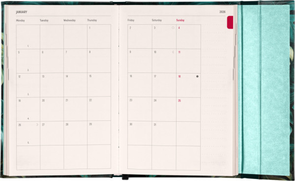 NOTIQUE Týždenný magnetický diár Monstera 2026, 11 x 16 cm 3