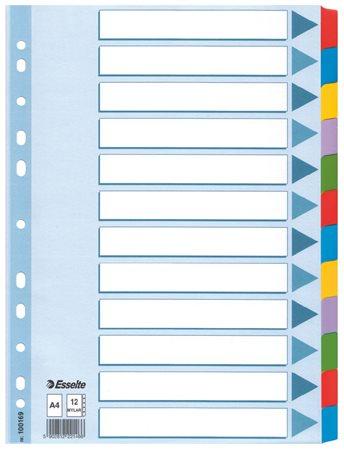 Register, laminovaný kartón, A4, 12 részes, ESSELTE "Mylar", farebný