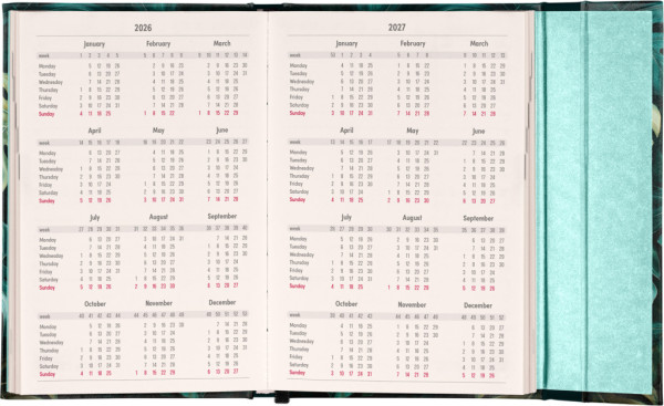 NOTIQUE Týždenný magnetický diár Monstera 2026, 11 x 16 cm 2