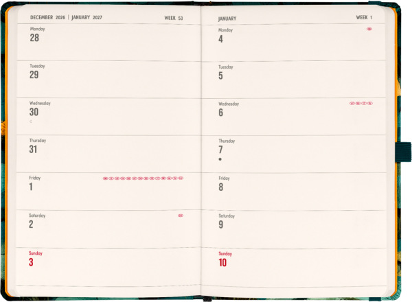 NOTIQUE Planbook planner/notebook Cat 2027, 13 x 21 cm 1