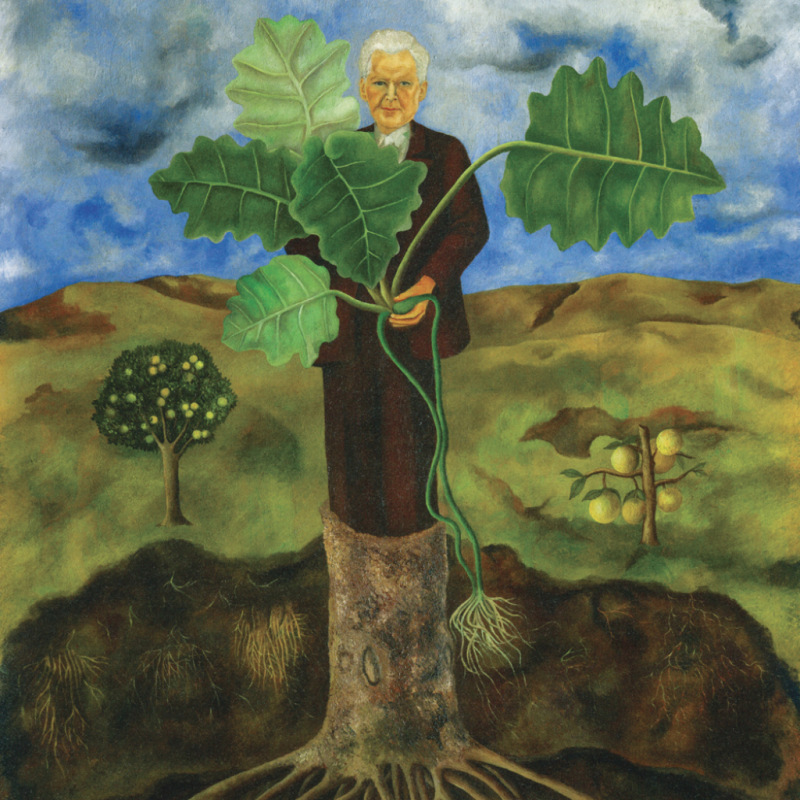 NOTIQUE Poznámkový kalendár Frida Kahlo 2027, 30 x 30 cm 8