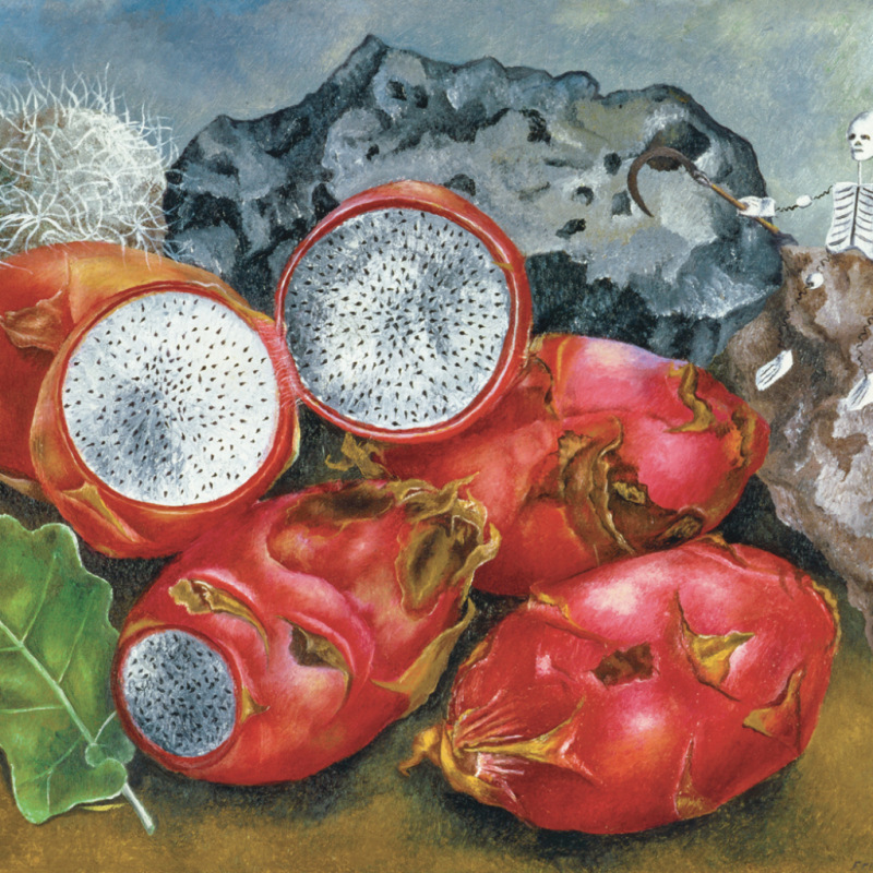 NOTIQUE Poznámkový kalendár Frida Kahlo 2027, 30 x 30 cm 9