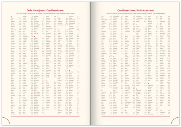 NOTIQUE Týždenný diár Rivoli 2026, sivý, 15 x 21 cm 6