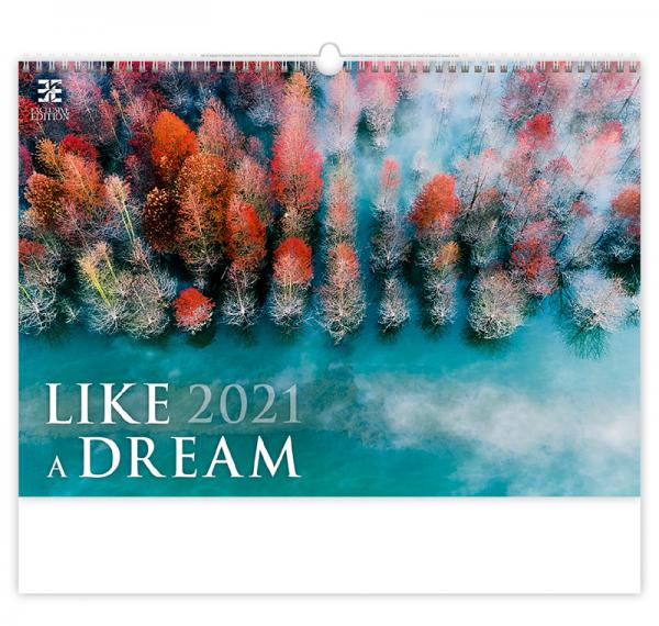 Like a Dream