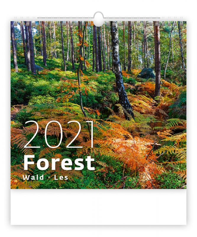 Forest/Wald/Les