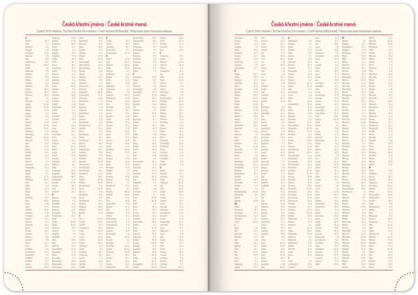 NOTIQUE Denný diár Twill 2026, bordó-zlatý, 15 x 21 cm 5