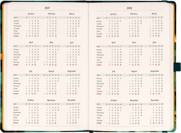NOTIQUE Planbook planner/notebook Cat 2027, 13 x 21 cm 2