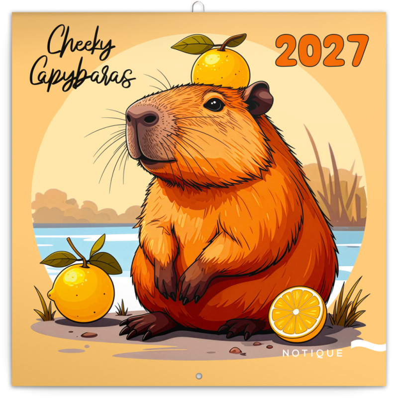 NOTIQUE Poznámkový kalendár Roztopašné kapybary 2027, 30 x 30 cm