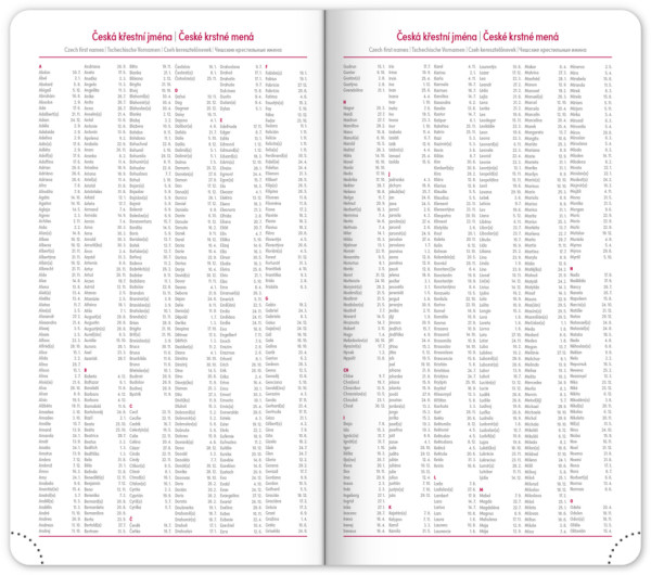 NOTIQUE Vreckový diár Aprint Top 2026, oranžový, 9 x 15,5 cm 5