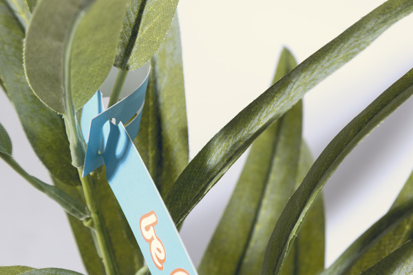 PlantTag štítok k rastlinám na zákazku 4