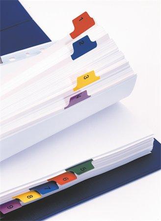 Register, kartón, A4, A-Z, ESSELTE, VIVIDA, biela 3