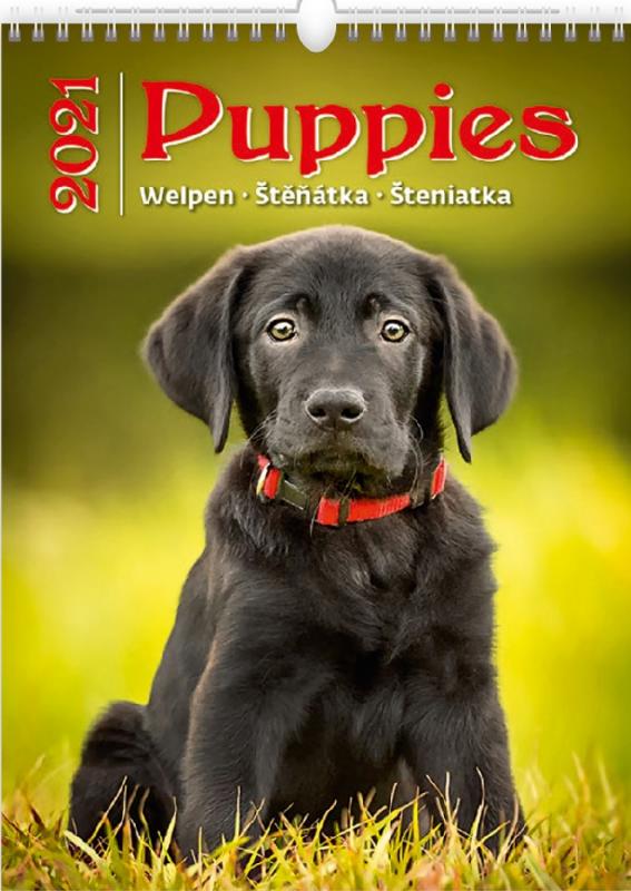 Puppies / Welpen/Štěňátka/Šteniatka