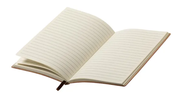 Paldon notes 1