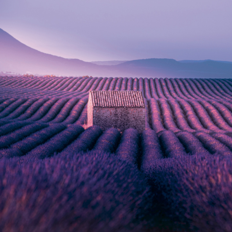 NOTIQUE Poznámkový kalendár Provence 2027, 30 x 30 cm 2