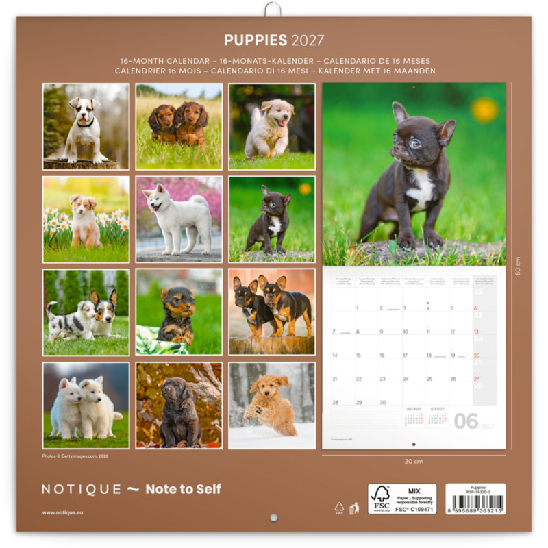 NOTIQUE Grid calendar Puppies 2027, 30 x 30 cm 14
