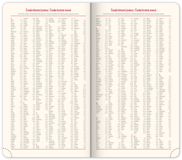 NOTIQUE Vreckový diár Panama 2026, hnedý, 9 x 15,5 cm 5