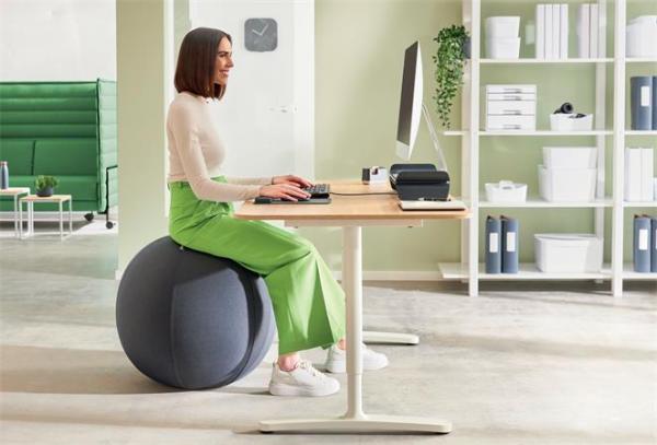 Gymnastická lopta na sedenie, so závažím proti odkotúľaniu, 65 cm, LEITZ "Ergo Active", tm 3