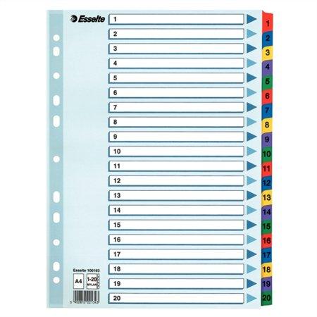 Register, kartón, A4, 1-20, ESSELTE "Mylar"