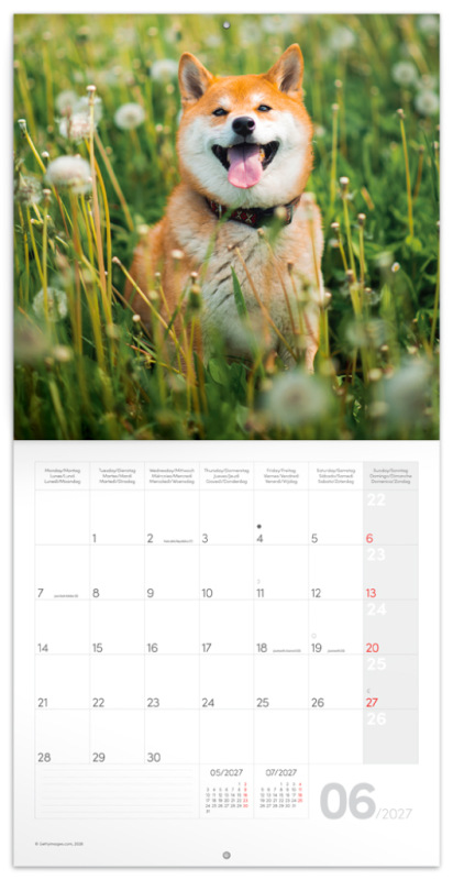 NOTIQUE Grid calendar Happy Doge 2027, 30 x 30 cm 1