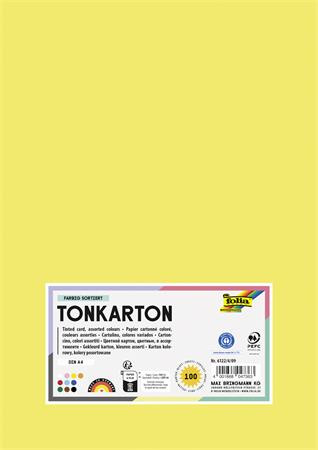 Dekoračný kartón, 2 stranný, A4, 220 g, 100 listov, FOLIA "Basic", 10 rôznych farieb