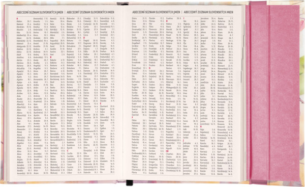 NOTIQUE Týždenný magnetický diár Vtáčiky 2026, 11 x 16 cm 7