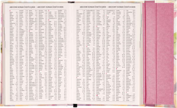 NOTIQUE Týždenný magnetický diár Vtáčiky 2026, 11 x 16 cm 6