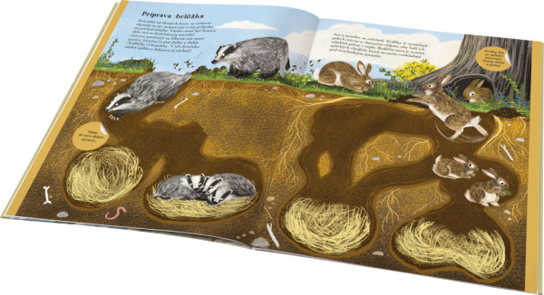 SVET JEŽKOV, UŠIAKOV a ďalších chlpáčov – Kniha samolepiek 1