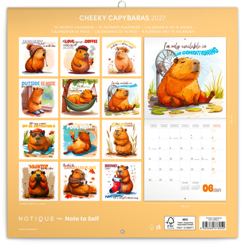 NOTIQUE Grid calendar Cheeky Capybaras 2027, 30 x 30 cm 14