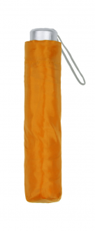 Ziant dáždnik 2