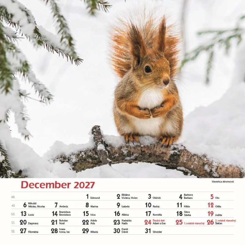 Nástenný kalendár Les a jeho príbehy 2027 13
