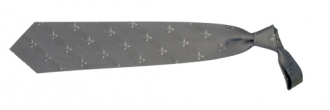 Tienamic tie