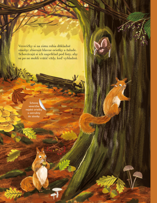 SVET JEŽKOV, UŠIAKOV a ďalších chlpáčov – Kniha samolepiek 8