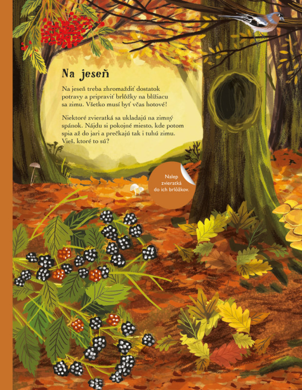 SVET JEŽKOV, UŠIAKOV a ďalších chlpáčov – Kniha samolepiek 7