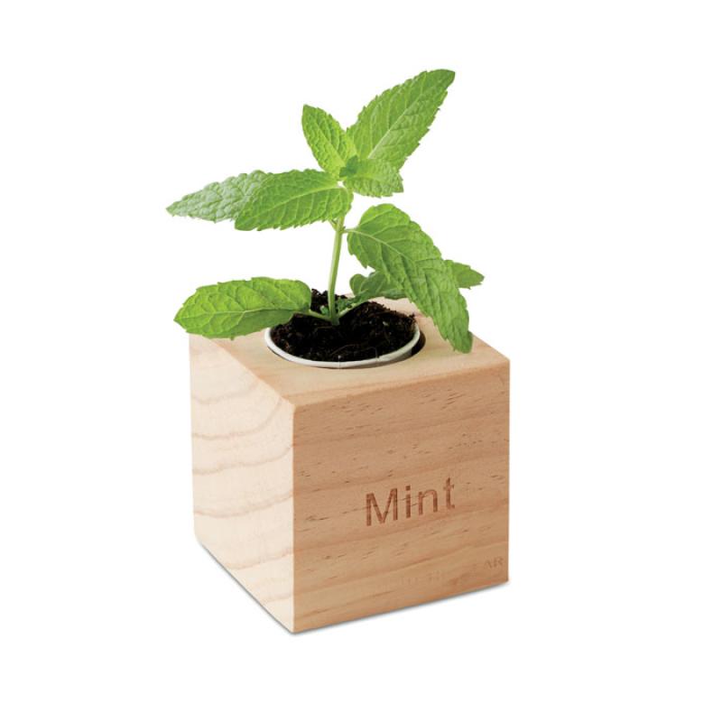 MENTA 2