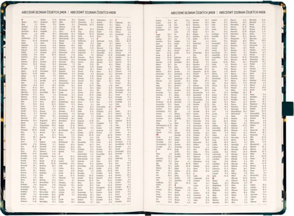 NOTIQUE Planbook diár/notes Líška 2026, 13 x 21 cm 4