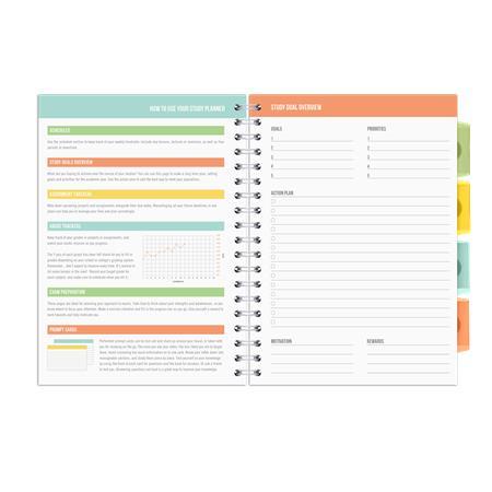 Špirálový zošit, B5, PUKKA PAD "Study book", sivá 3