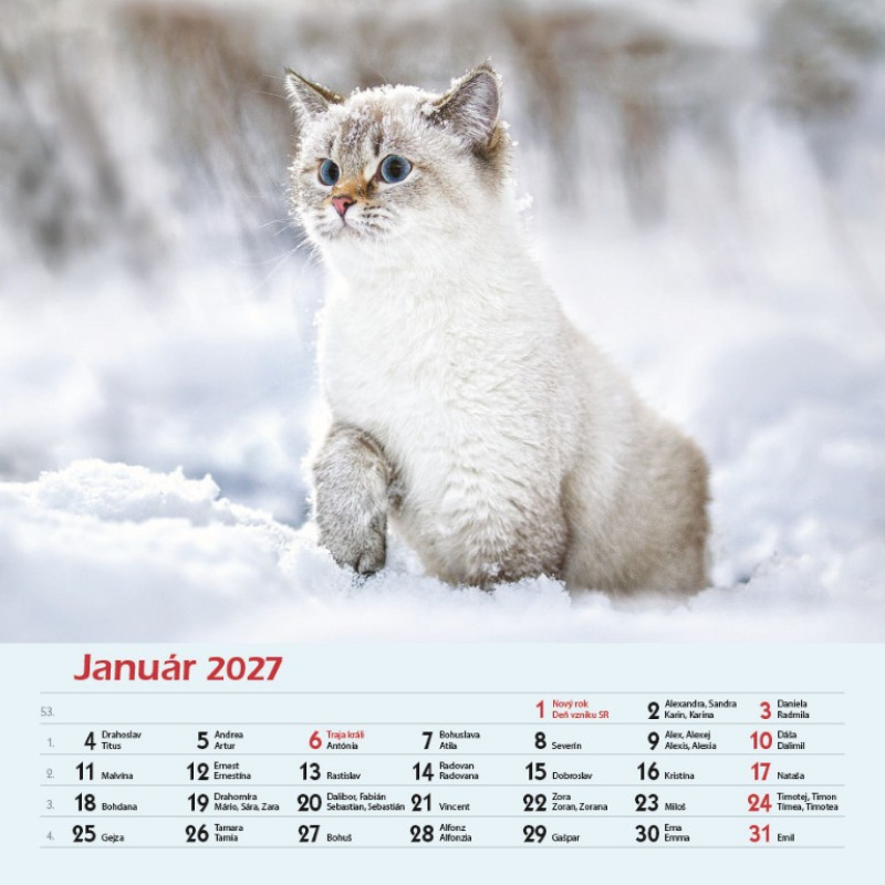 Nástenný kalendár Mačky 2027 2