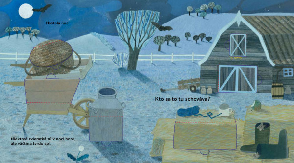 Kto sa to tu schováva? NA DVORE – Knižka s odklápacími okienkami 5
