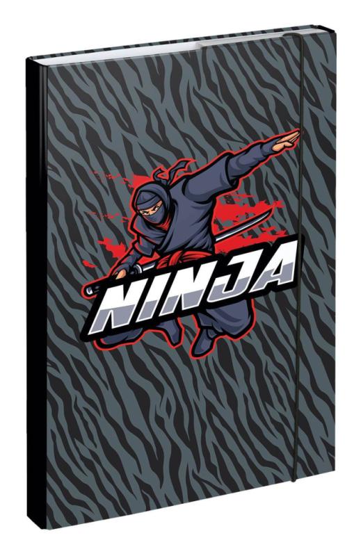 BAAGL SET 5 Ergo Ninja: aktovka, penál, sáček, desky, box 14