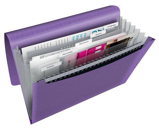 Harmoniková doska, A4, PP, 6 priehradiek, ESSELTE "Colour`Breeze", levanduľová 2