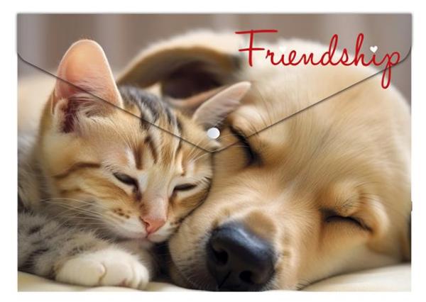 Obal na patent, A5, PP, 180 mikron, PANTA PLAST "Friendship" 1