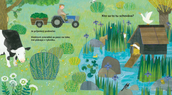Kto sa to tu schováva? NA DVORE – Knižka s odklápacími okienkami 4