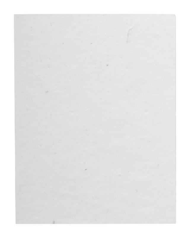 CreaStick Seed Note L lepiaci poznámkový blok na zákazku 2