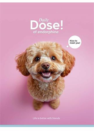 Zošit, zošívaný, A5, štvorčekový, 48 listov, SHKOLYARYK "Nice to meet you", mix 4