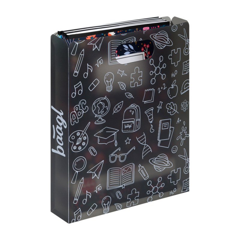 BAAGL Plastové dosky na školské zošity School šedá 1