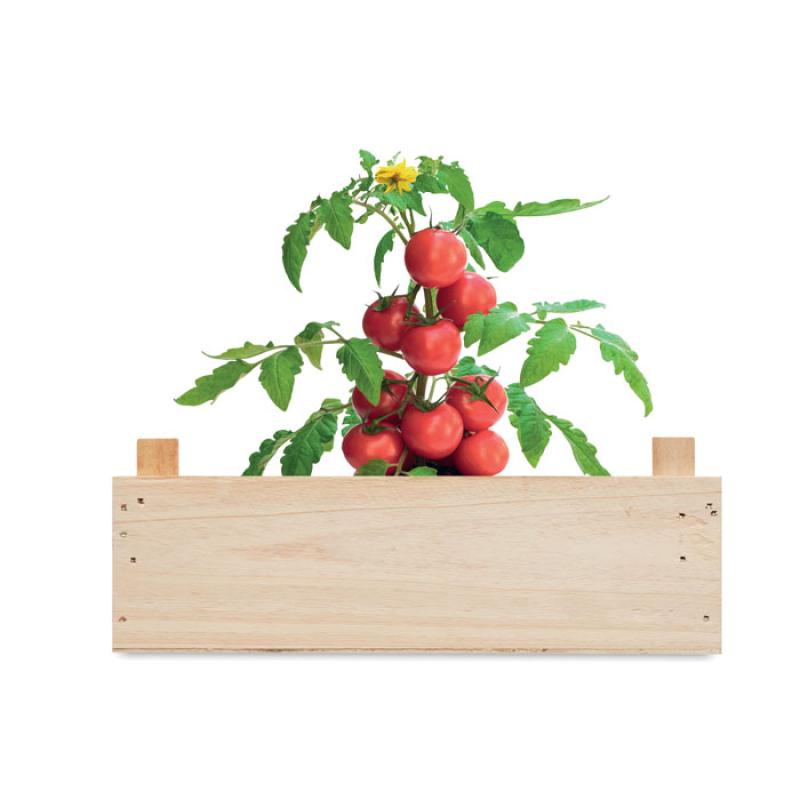 TOMATO 3