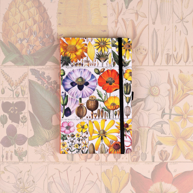 NOTIQUE Notes Herbár Kateřiny Winterové, bodkovaný, 13 x 21 cm 4